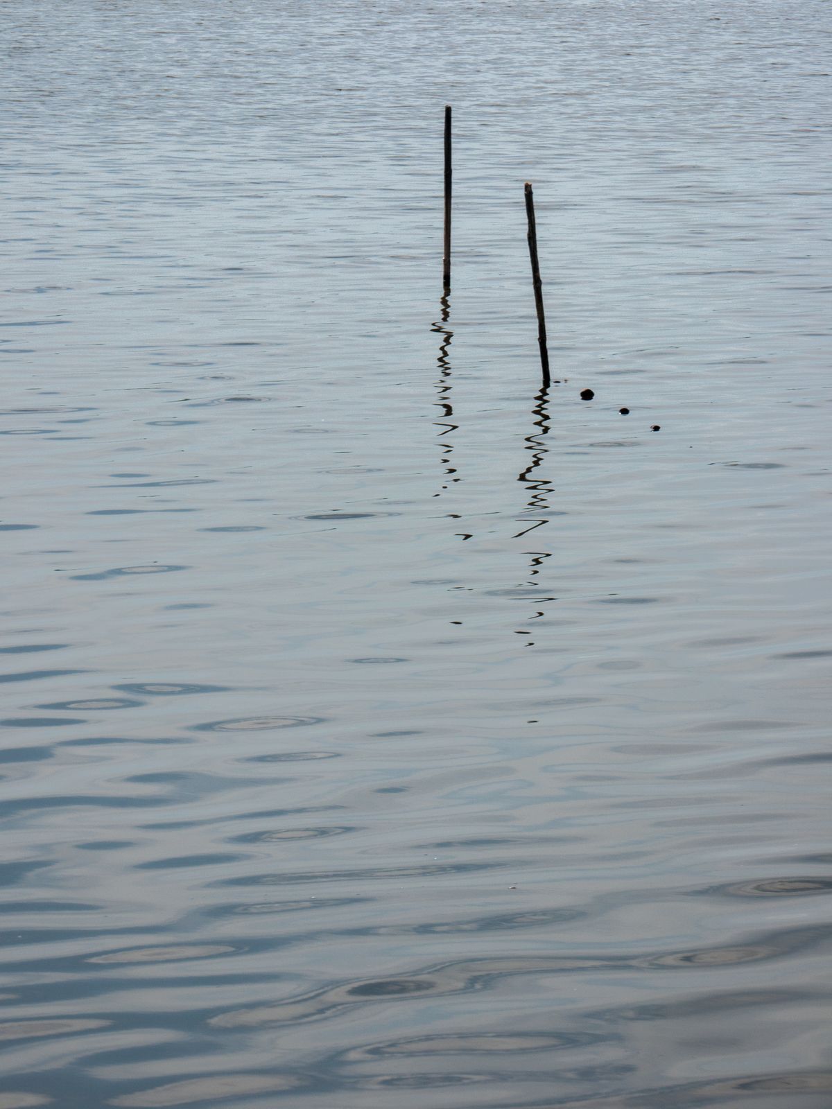 Blankensee-Reusen
