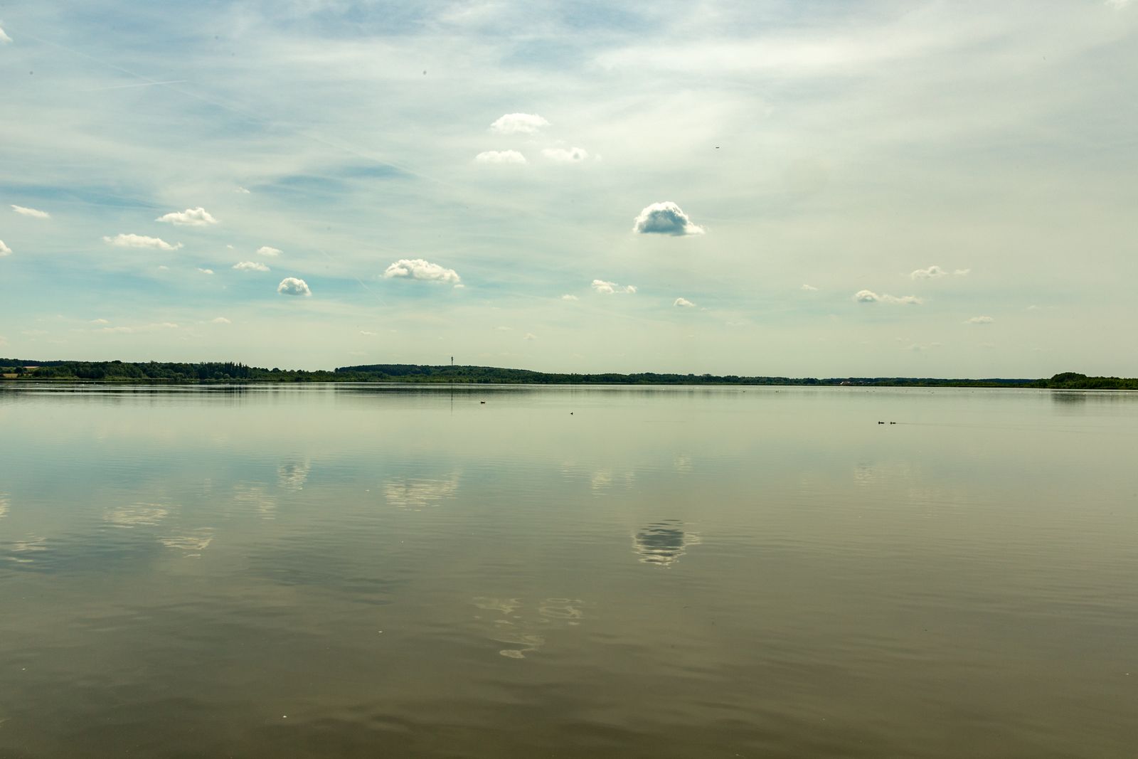Blankensee