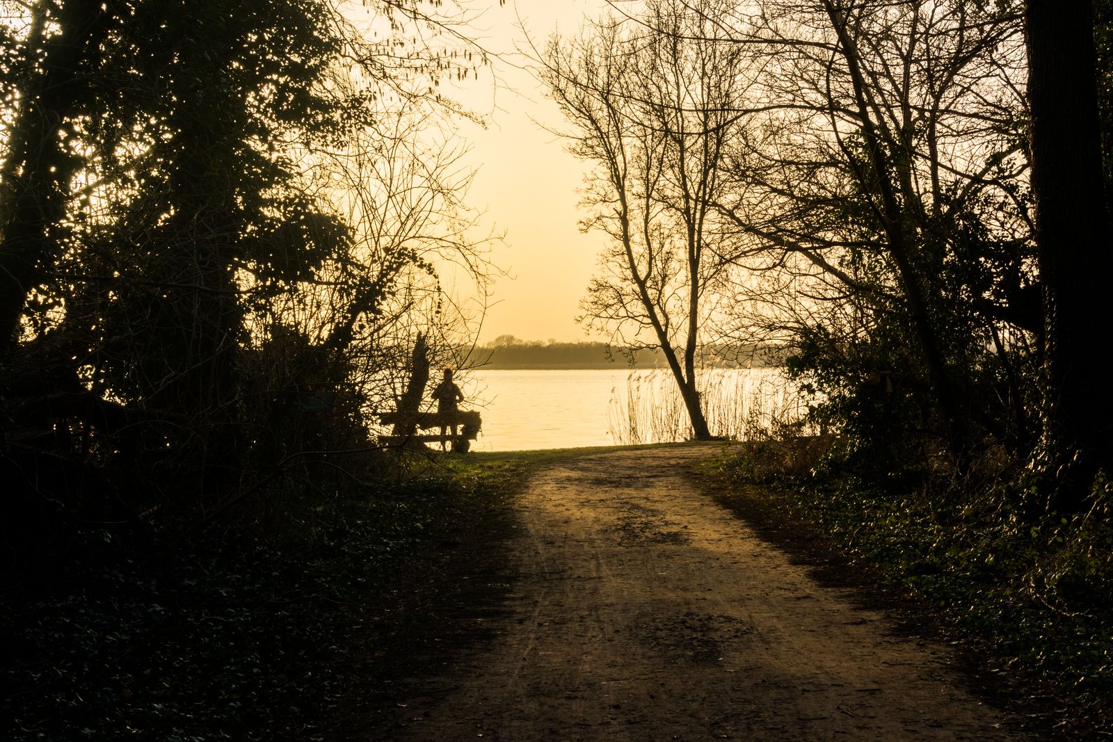 Blankensee-Dämmerung