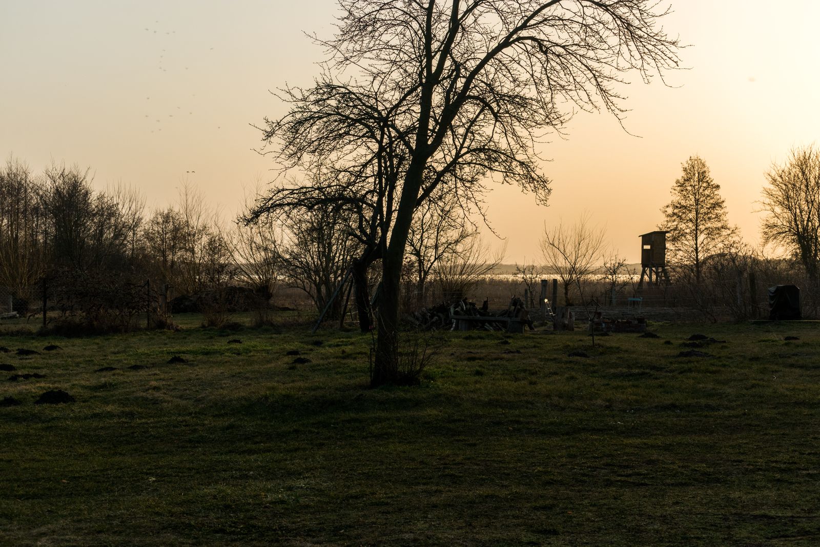 Blankensee in der Dämmerung