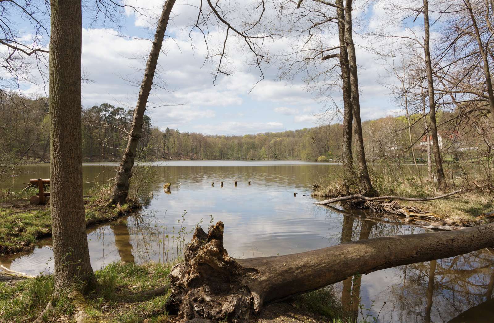 Großer Tornowsee-Sturmschaden