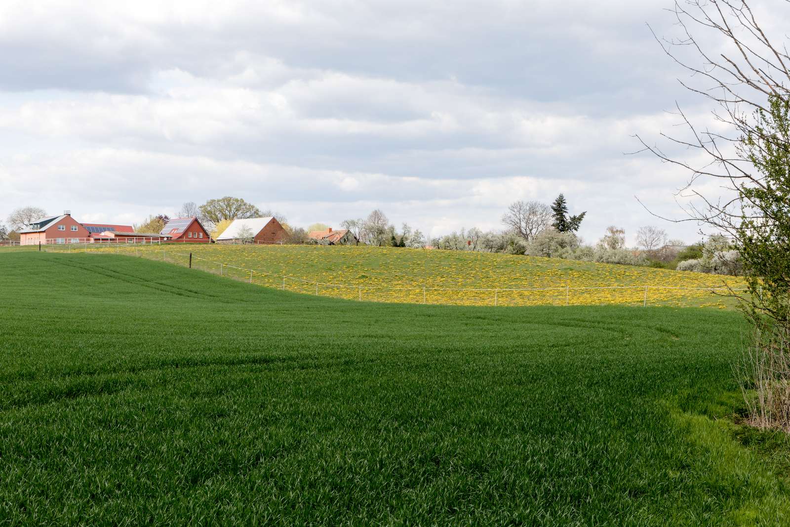 Pritzhagen-Feld