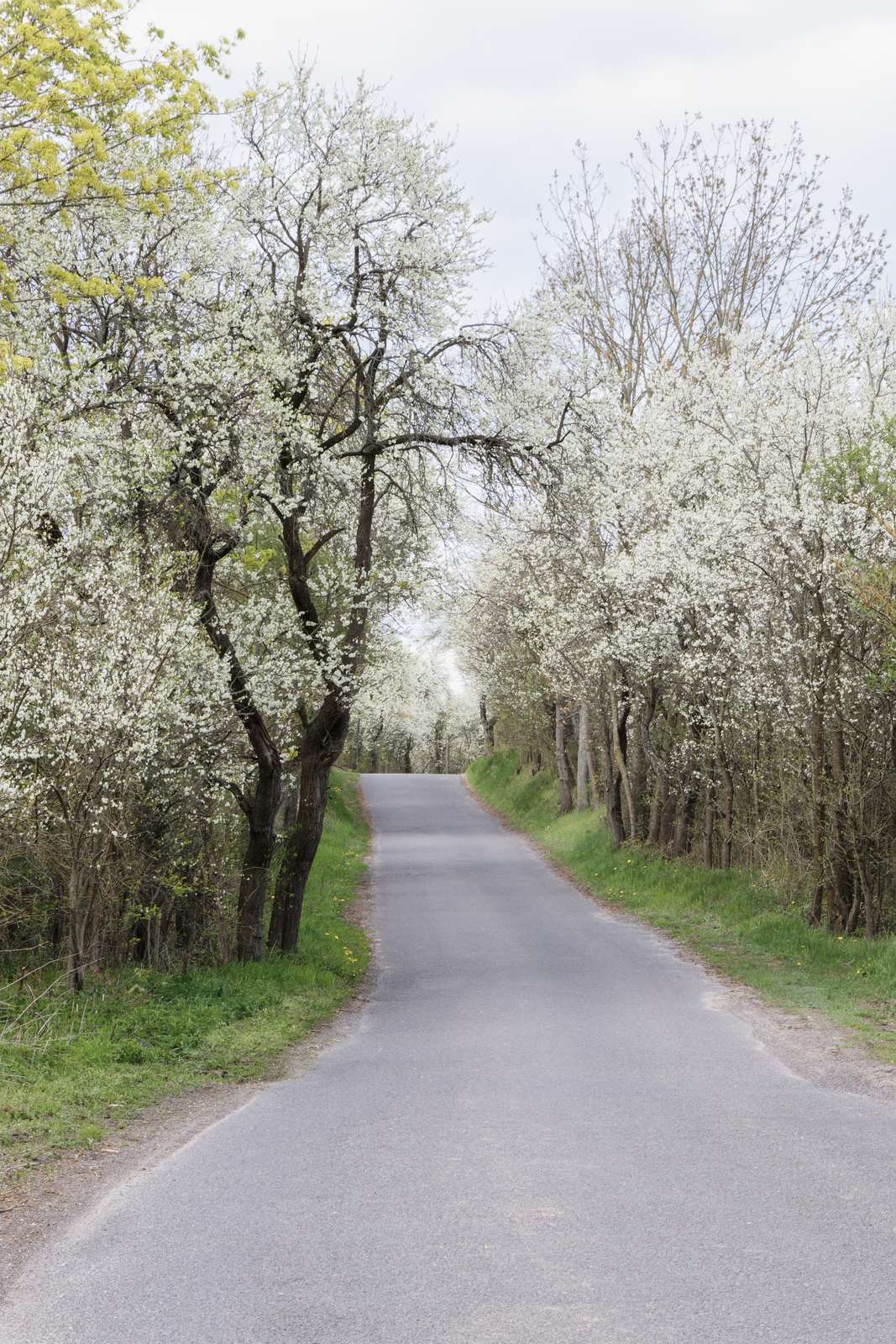 Pritzhagen-Straße