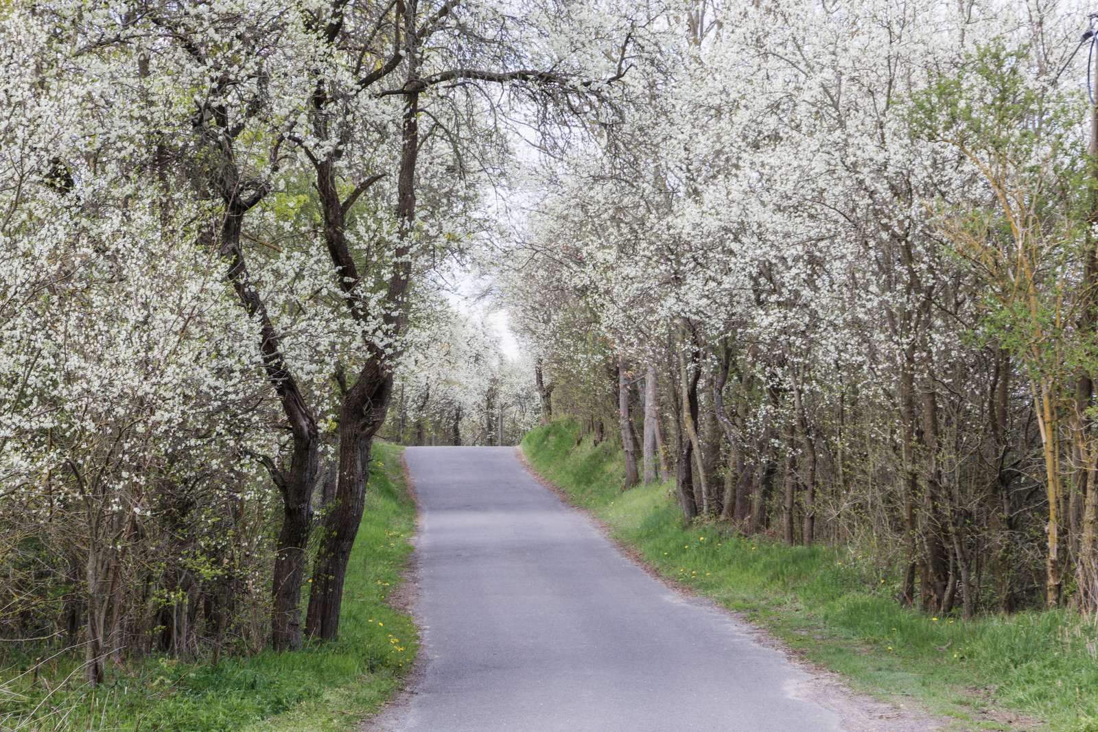 Pritzhagen-Straße