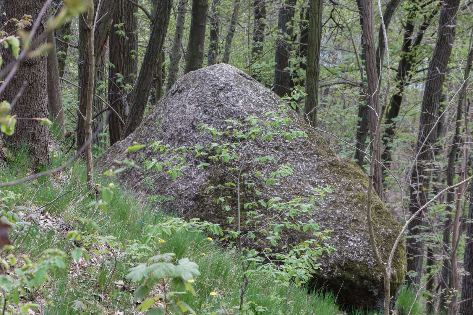 Silberberg-Großer Stein