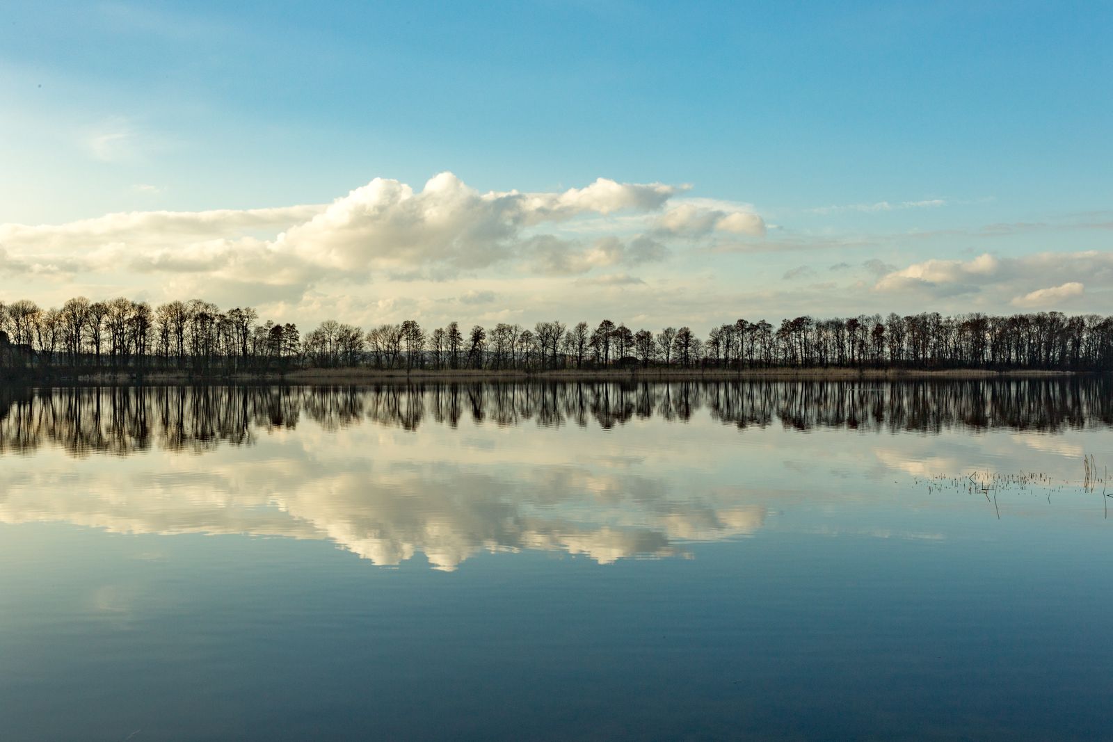 Altfriedland-Klostersee