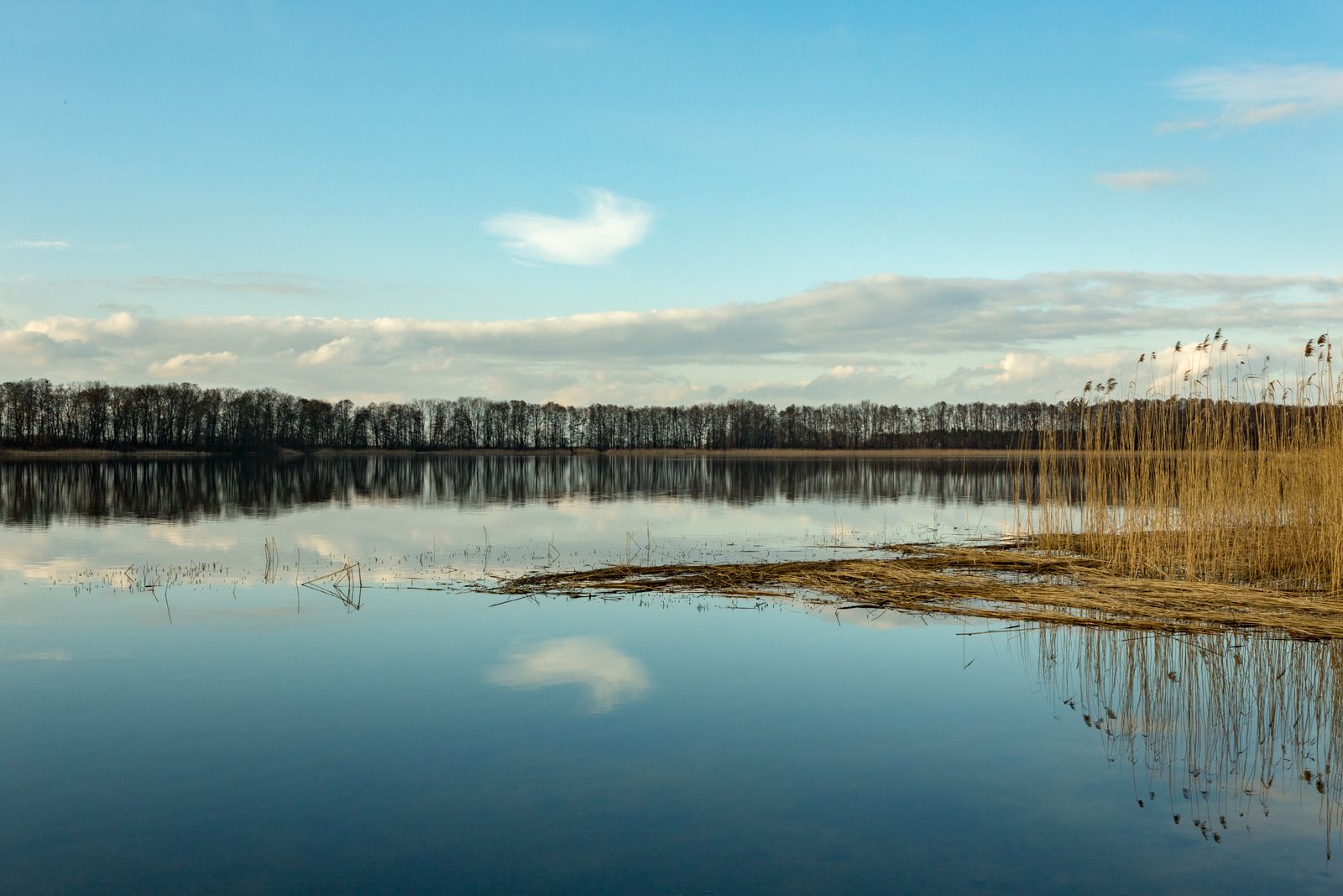 Klostersee Altfriedland