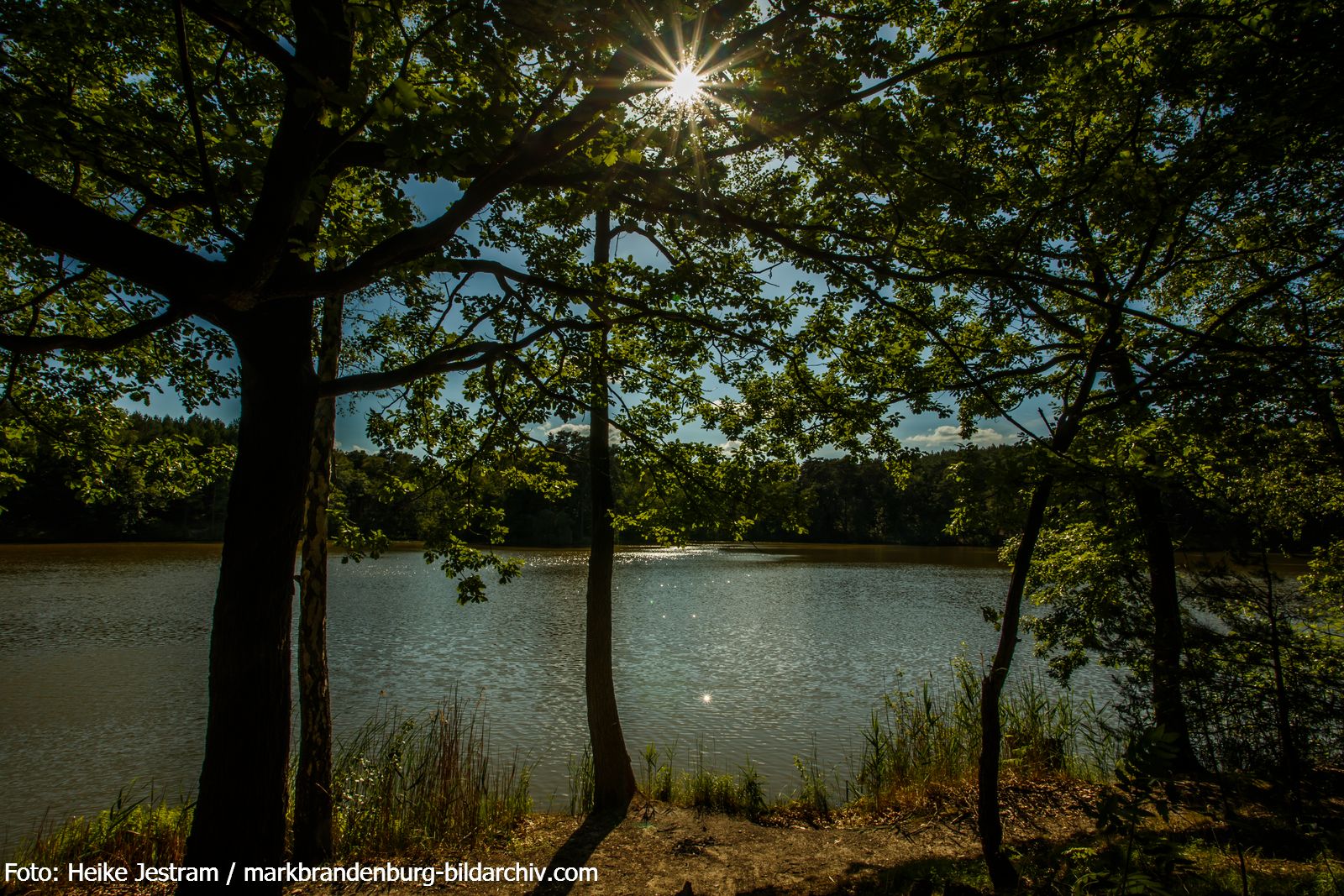 Köthen-Mittelsee-Abendsonne