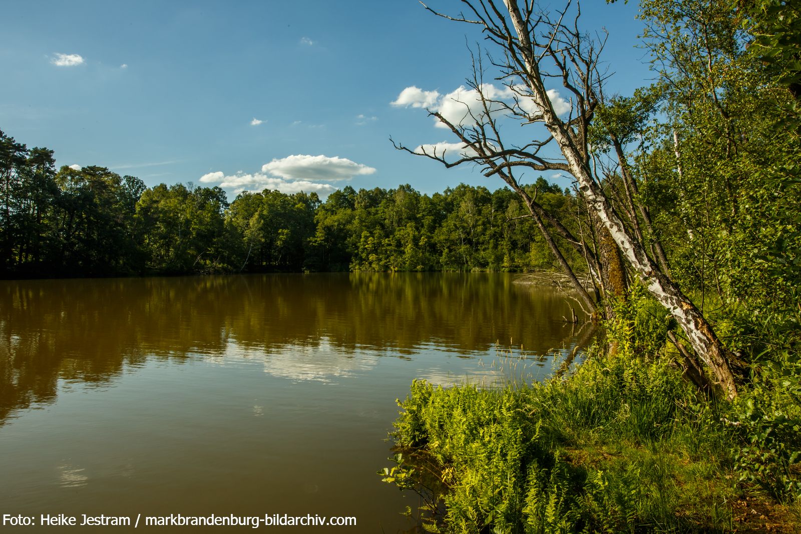Köthen-Mittelsee-Wolkenspiegelung