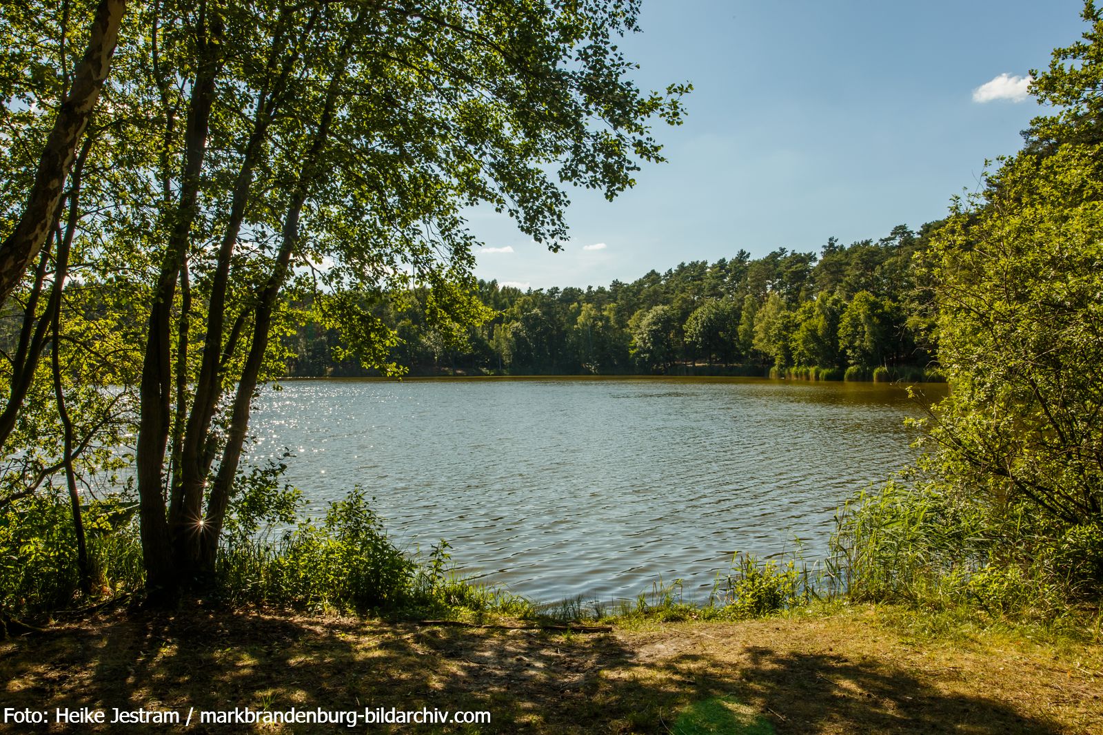 Köthen-Schwanensee