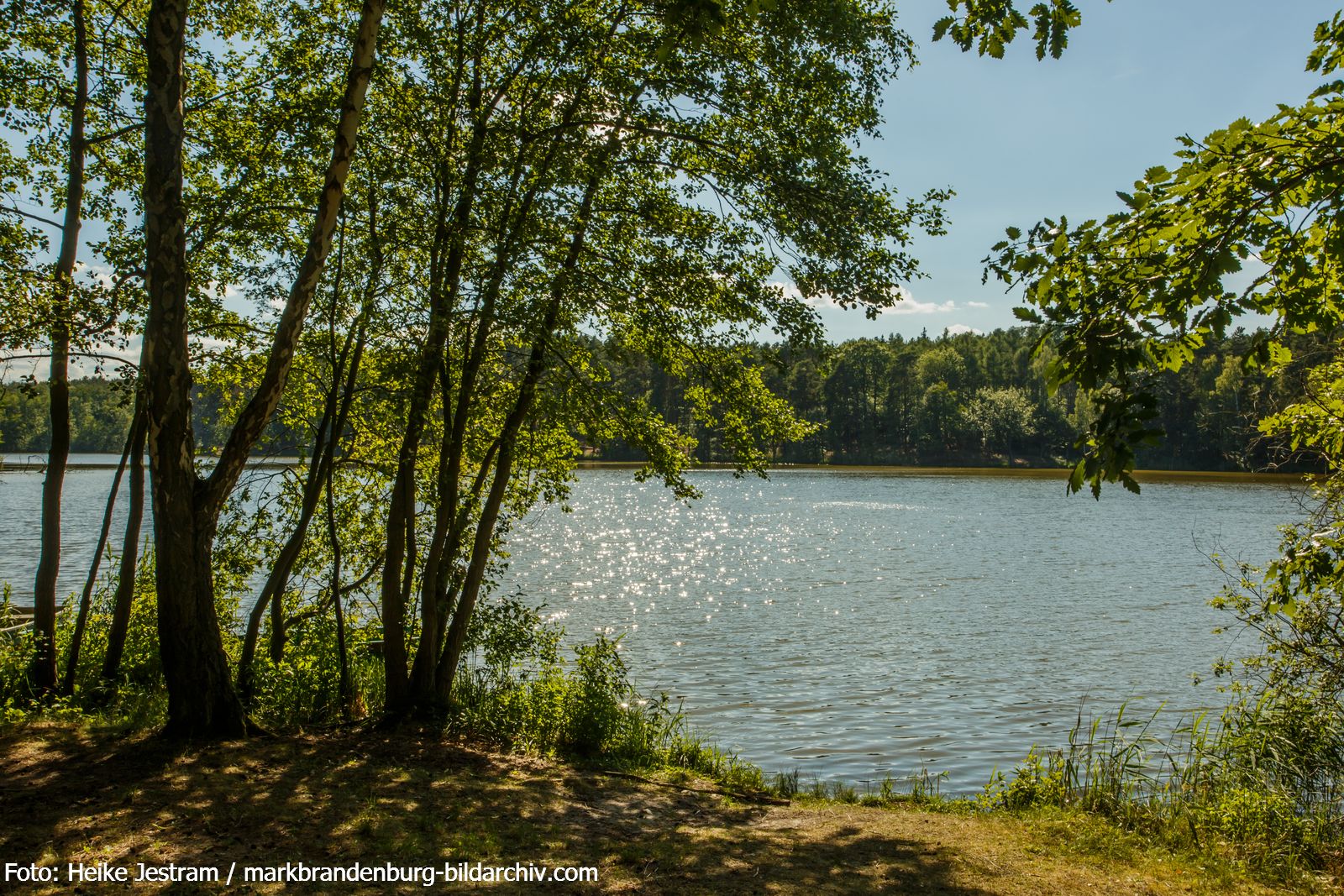 Köthen - am Schwanensee