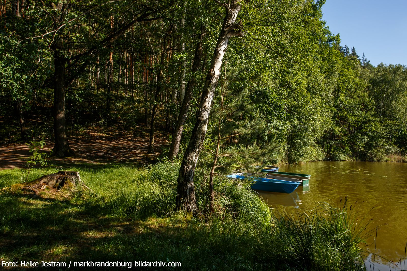 Köthen-Zwei Boote am Schwanensee