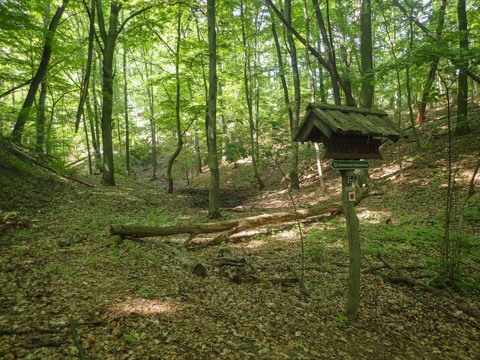 Buckow-Am Schermützelsee-Langer Grund