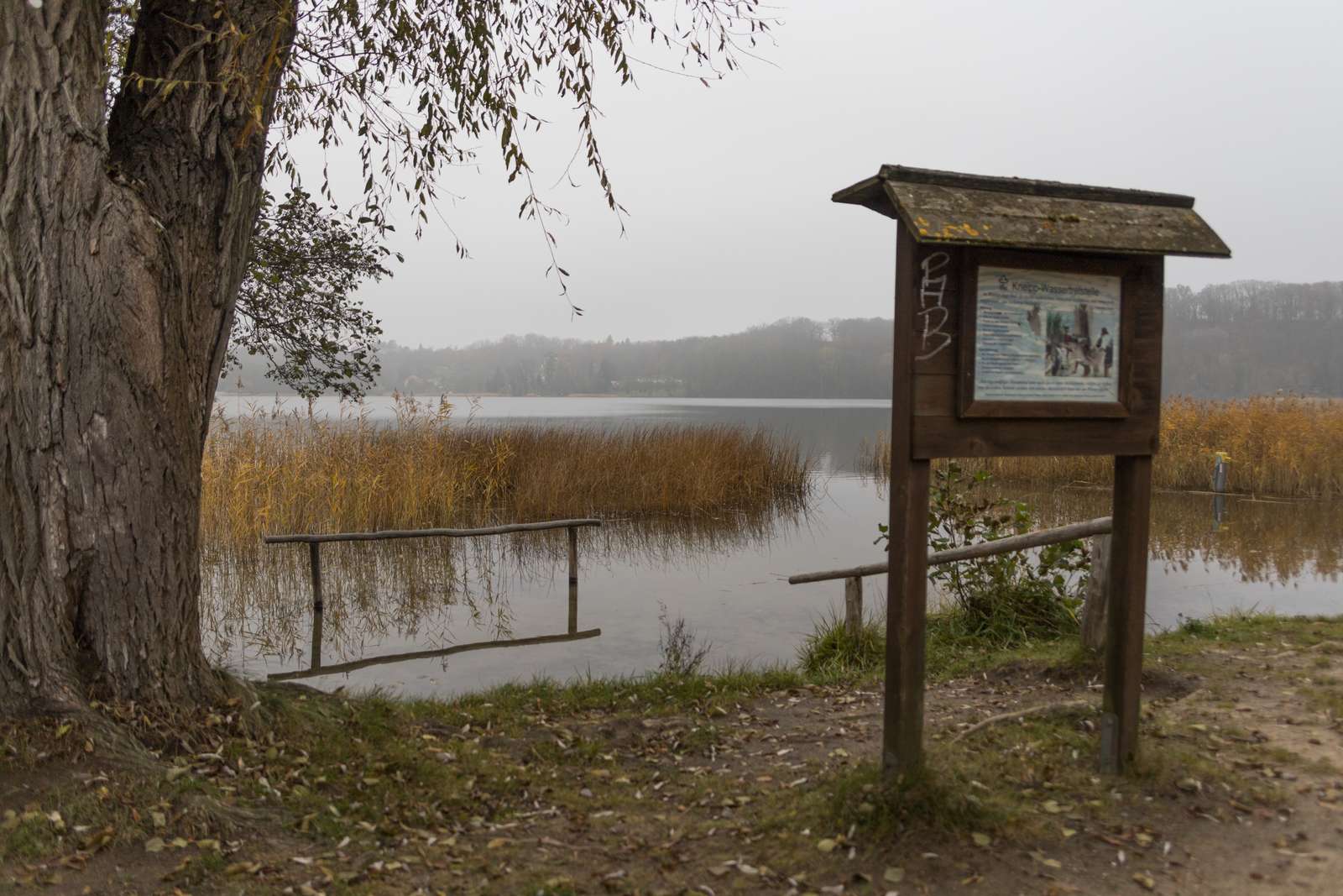 Buckow-Schermützelsee im November