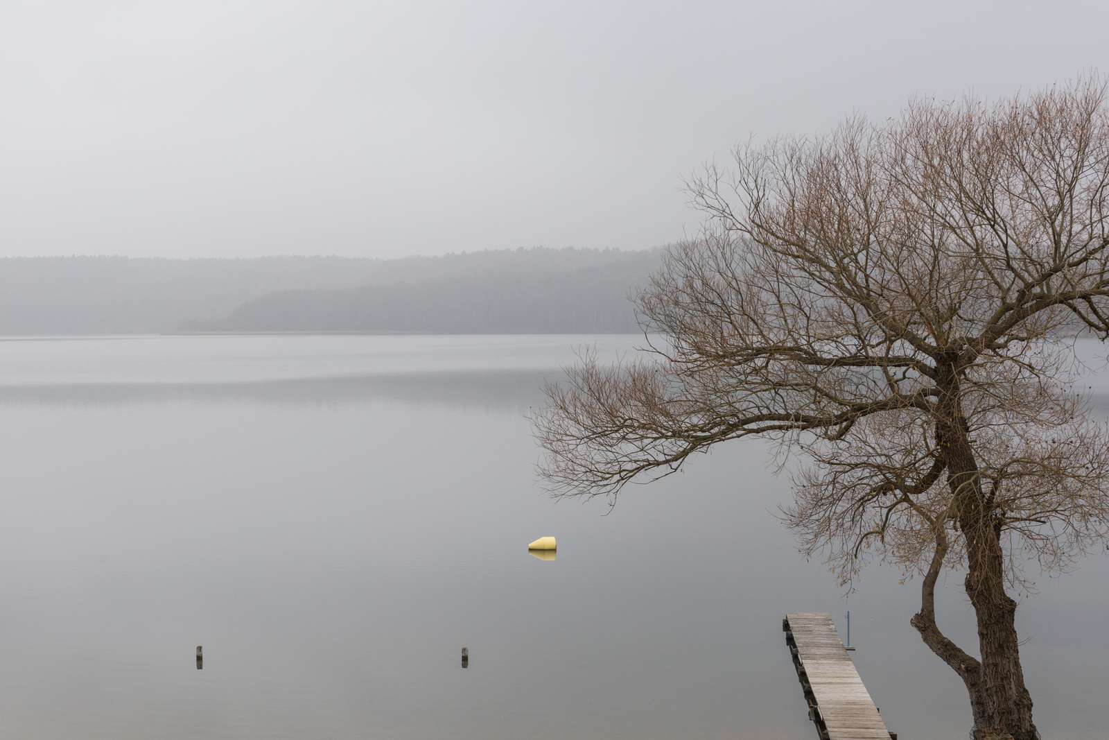 Buckow-Schermützelsee im November