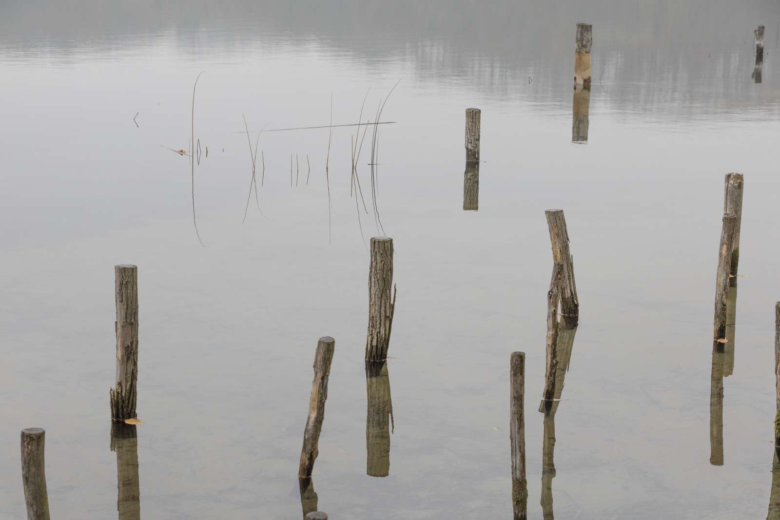 Buckow-Schermützelsee im November