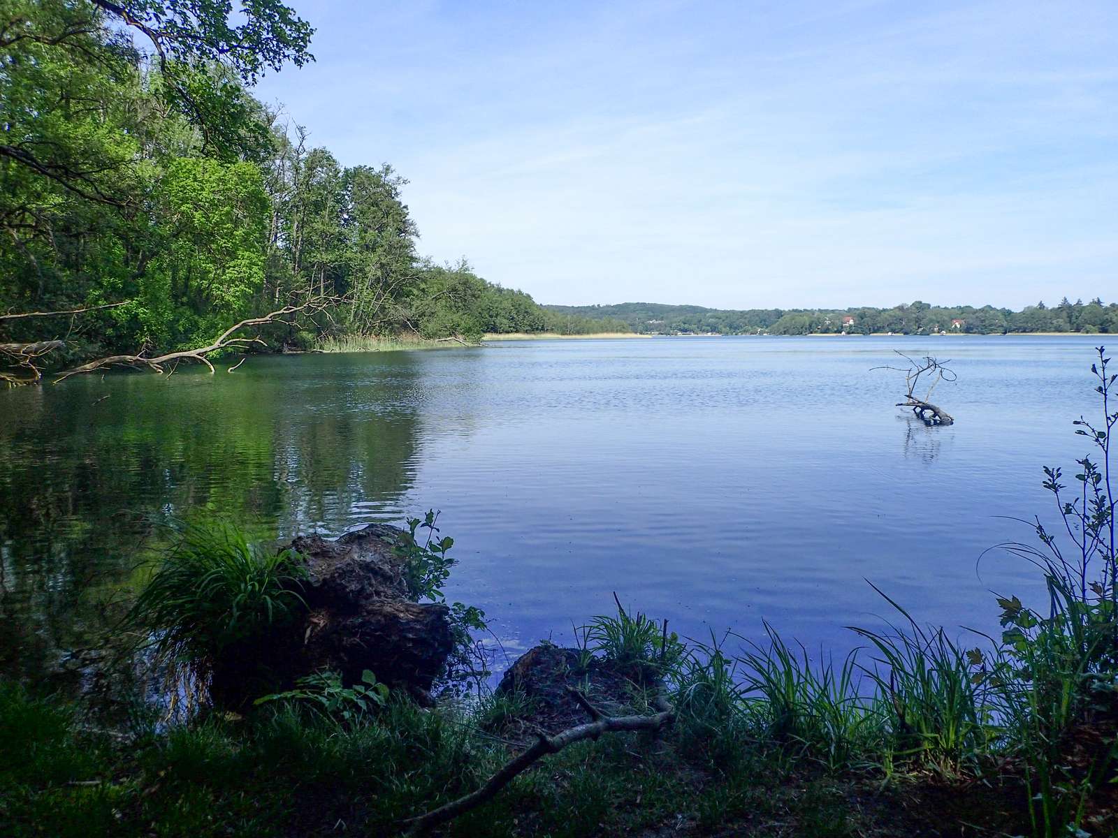 Schermützelsee (Buckow)