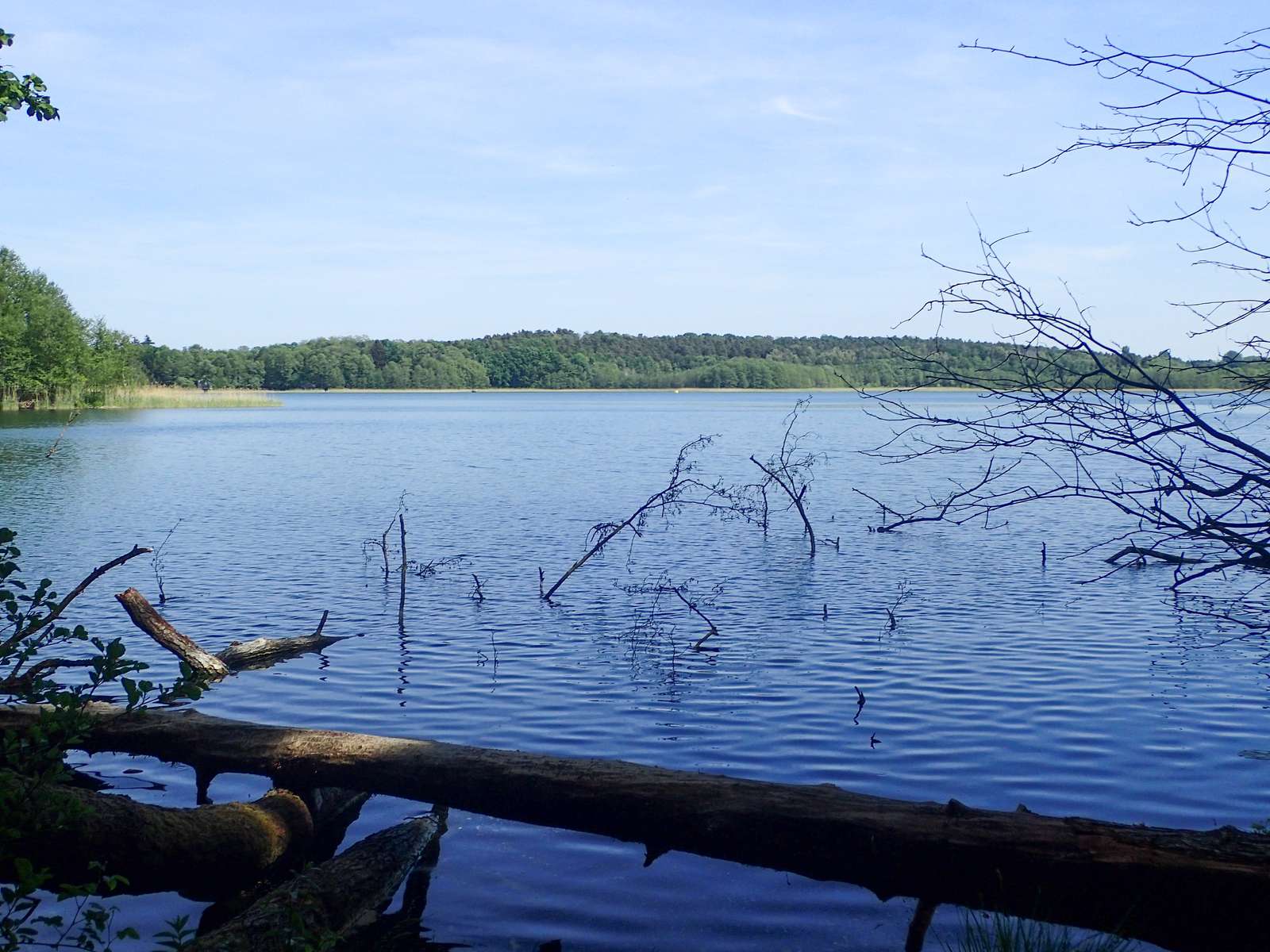 Buckow-Am Schermützelsee-Werk des Bibers