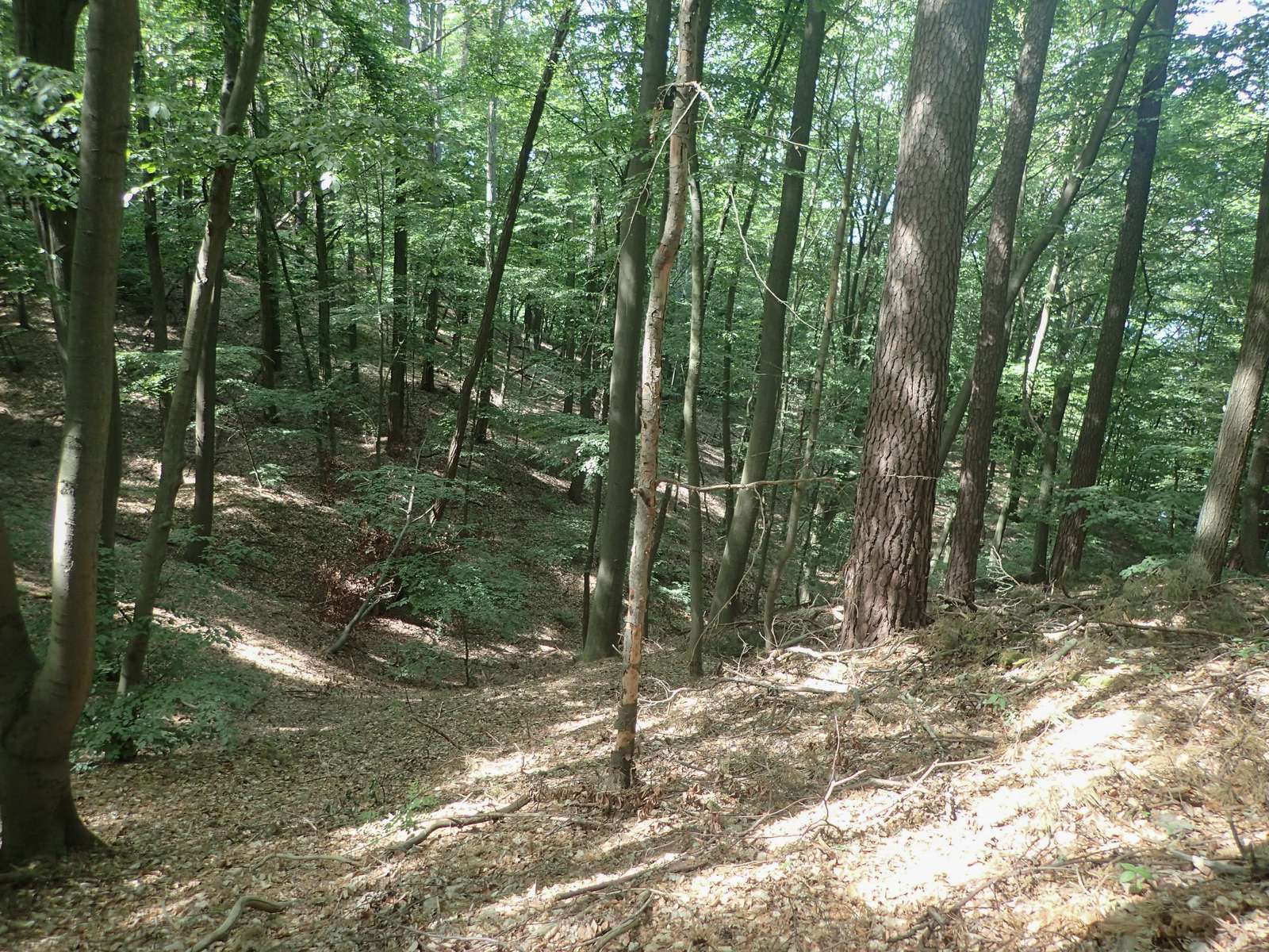 Buckow-Am Schermützelsee-Schlucht