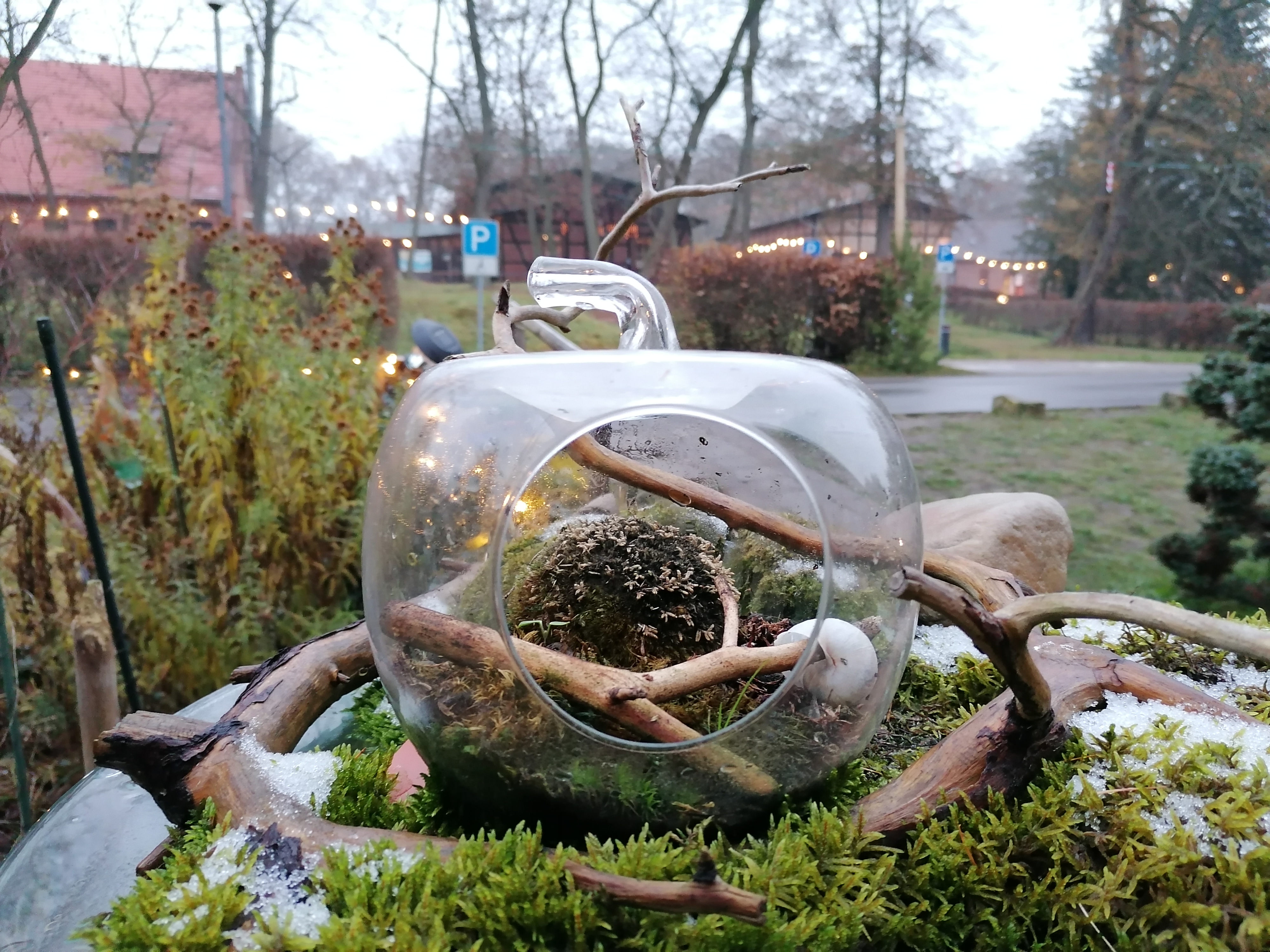 Glas in Glashütte bei Baruth